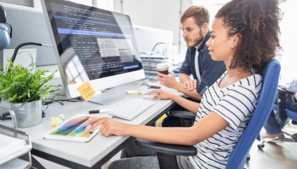 Software Development Service